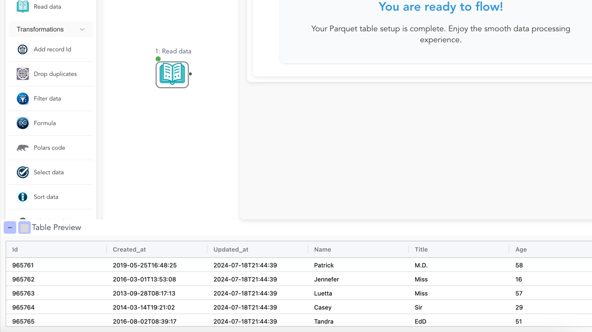 Flowfile's per-node data preview sits at the bottom of the canvas — no dedicated Browse node needed